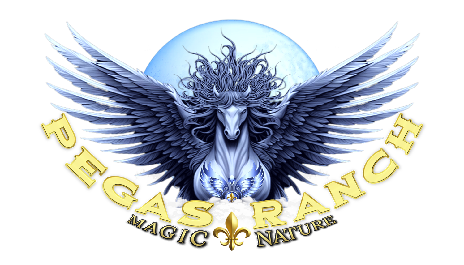 LOGO ORIGINAL.png