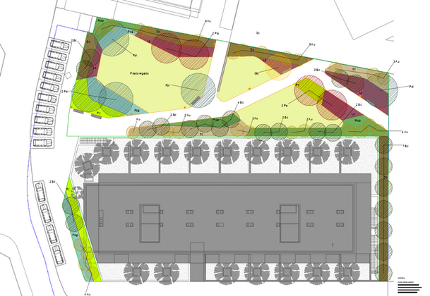 Catelo da Maia 2.png