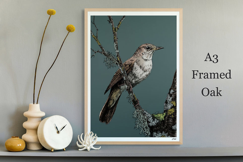 Thumbnail: Nightingale Limited Edited Print