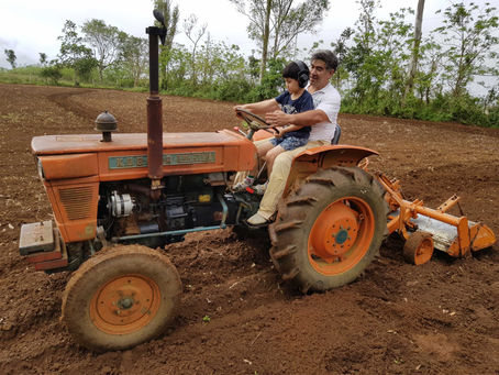 Yes, we can sow and reap at the same time.