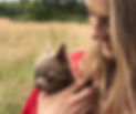 Pet sitting in Cobham surrey