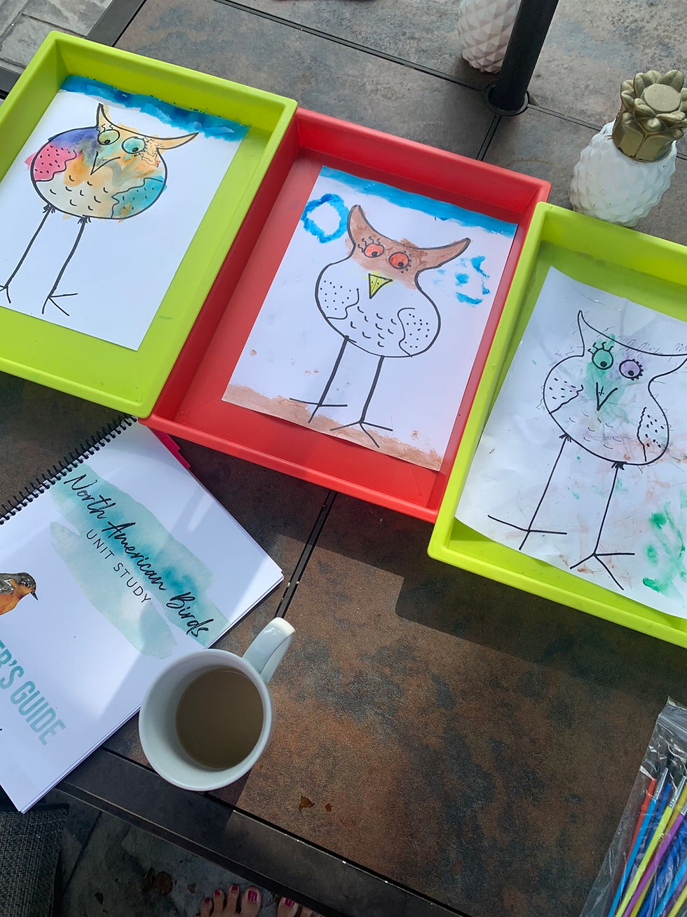 Owl watercolor for kids