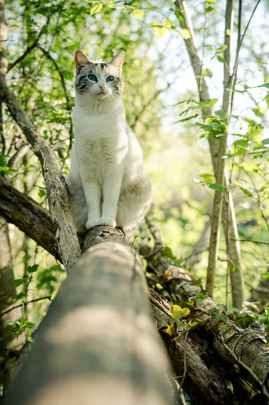 SANS SIGNATURE (15).JPG