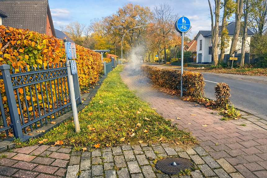 Hecke schneiden I Gartenhilfe I Hausmeister Scheneman I Hausmeisterservice I Emsland I Ram