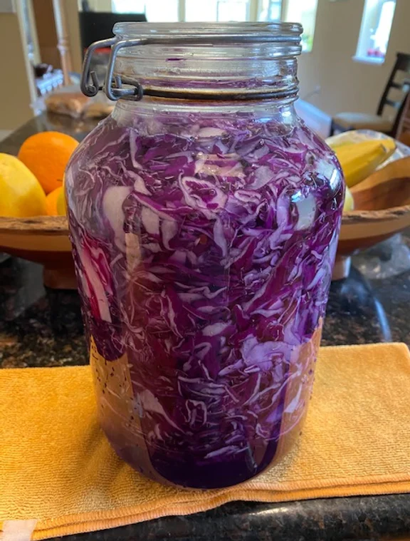 sourkrout purple.webp