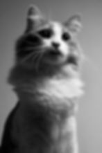 B/W Portrait
