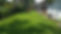 20170609_113633.jpg