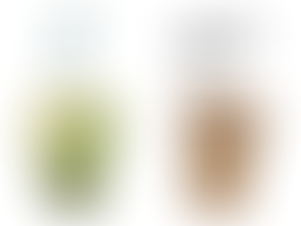 新メニュー🥤「Wチョコフラッペ」と「チョコミントフラッペ」登場!