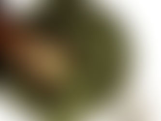 お茶の上手な保存方法