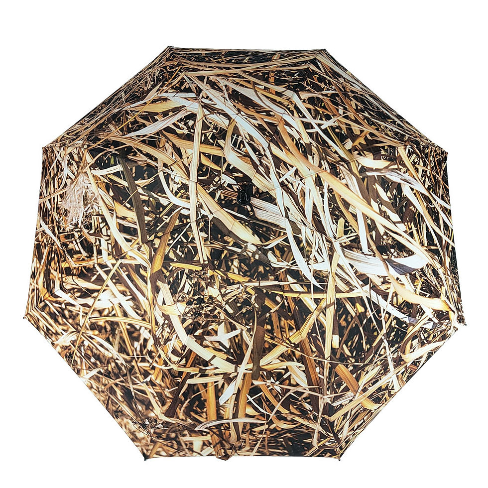 Thumbnail: Camoflauge Umbrellas