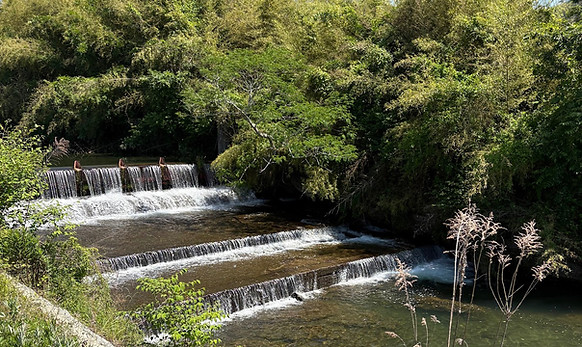 **Alt text:** Out of the way mountainside remote countryside experience with deep nature real wildlife and river swimming 人里離れた山間の田舎体験で深い自然と本物の野生 生き物 川遊びを楽しむ