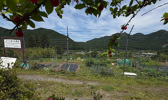 **Alt text:** Gardens and farms near Kyoto with farmers market in Kyoto city Japanese pickles and exotic shrines 京都近郊の庭や農園 京都市内のファーマーズマーケット 漬物や珍しい神社