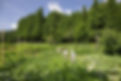 京都 農家民宿 親子 Kyoto Farm Stay Parent and Child
