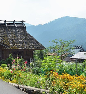 **Alt text:** Miyama Kyoto countryside with thatched roof houses traditional farming and scenic mountain village 美山の茅葺き民家や伝統農業が残る京都の山里風景