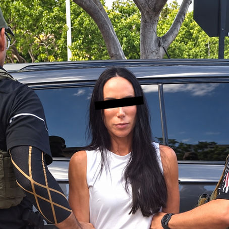 Inés Gómez Mont detenida en Florida: FGR confirma captura y señala orden por defraudación fiscal | VIDEOS
