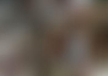 Arquidiócesis Primada de México, pide a los fieles no besar ni tocar imágenes religiosas