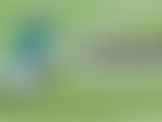 Adalberto Carrasquilla, la fractura a Kevin Mier…y el desaseo total en el fútbol mexicano