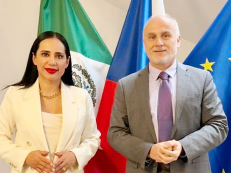 Juan Ramón de la Fuente, tiene que explicar por qué Sandra Cuevas, realiza trabajos diplomáticos