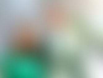 Pepe Couttolenc, es reconocido por la dirigencia nacional del Partido Verde Ecologista de México (PVEM)