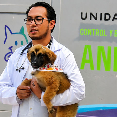 Pedro Rodríguez Villegas: Atizapán de Zaragoza, ejemplo en bienestar animal en el Edomex