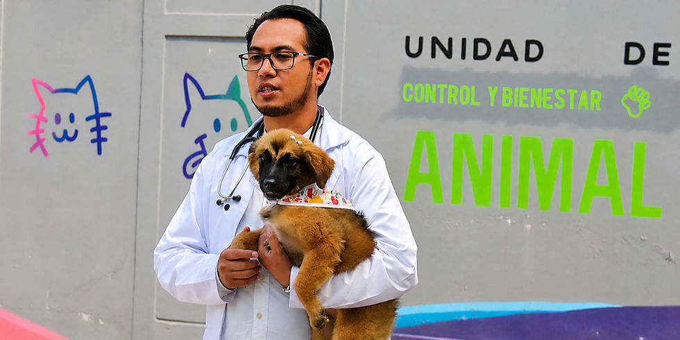 Pedro Rodríguez Villegas: Atizapán de Zaragoza, ejemplo en bienestar animal en el Edomex