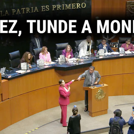 Lilly Téllez, acusó a Saúl Monreal de “narcopolítico”…¡y se armó la campal en el Senado de la República!