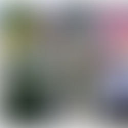 Pedro Rodríguez Villegas, inaugura 36 mil mts2 de pavimentación y rehabilitación de calles en Atizapán de Zaragoza