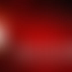 Mariela Gutiérrez Escalante y el sacrificio de animales en Tecámac: un tema que exige respuestas