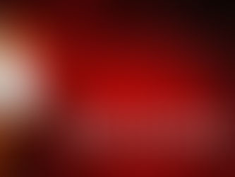 Mariela Gutiérrez Escalante y el sacrificio de animales en Tecámac: un tema que exige respuestas