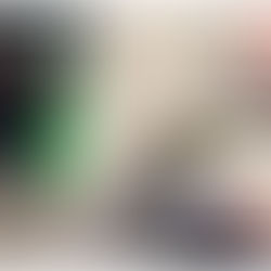 Chofer de transporte público en México, impide acceso a Therian