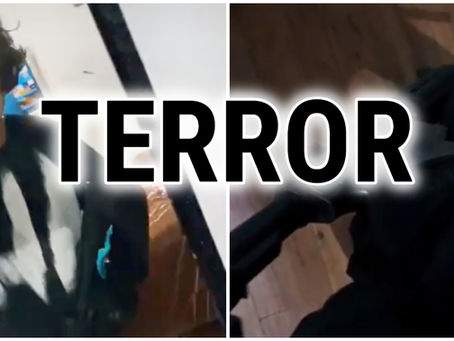 ¡Imágenes Fuertes! Alumno asesina a dos maestras de una preparatoria en Lázaro Cárdenas, Michoacán