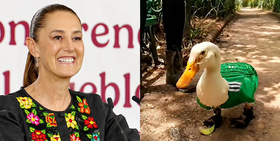 Claudia Sheinbaum y el Pato Merlín: la cortina viral ante los problemas de México