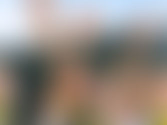 Pepe Couttolenc presume 150 mil afiliados en Edomex; liderazgos nacionales del PVEM respaldan su conducción