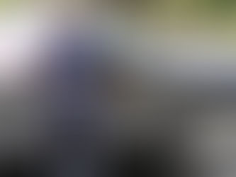Alessandra Rojo de la Vega: alcaldía Cuauhtémoc retira 5 mil 400 vehículos abandonados