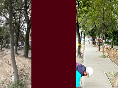 Gobierno de Cuautitlán Izcalli, avanza en la construcción del Corredor Seguro en la Avenida 1° de mayo