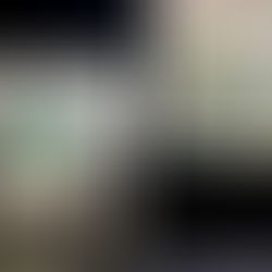 Pedro Rodríguez Villegas, presenta la primera etapa del Proyecto de Mejoramiento del Parque de los Ciervos