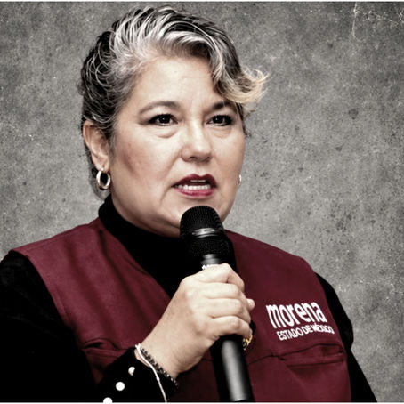 “Morena, la esperanza a nivel mundial”: la afirmación sin sustento de Luz María Hernández Bermúdez