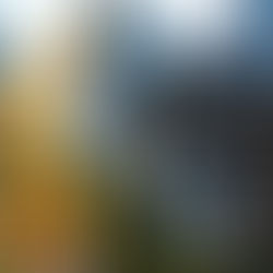 ¡Imágenes Fuertes! El Ángel de la Independencia, se sacude ante el sismo de 6.5 con epicentro en Guerrero