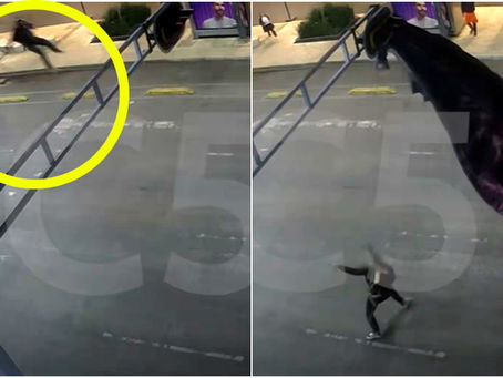 ¡Imágenes Fuertes! Momento en que un paracaidista estadounidense, queda atorado en un semáforo de CDMX