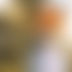 La UNAM se degradada, apoyando a la estúpida comunidad Therian