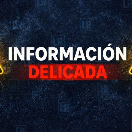 Hallan 219 restos óseos en zona limítrofe entre CDMX y Edomex durante jornada de búsqueda