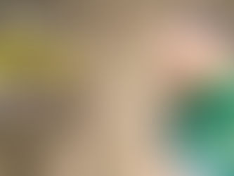 INE reporta menor nivel de observaciones al PVEM en Edomex, en el informe anual 2024