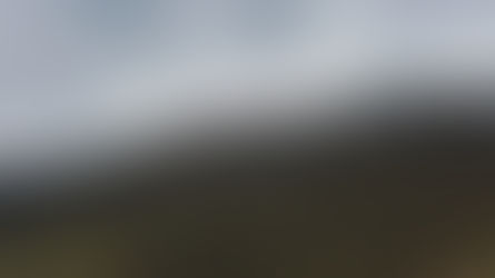 Tag #4 - Chernobyl und Squid Game