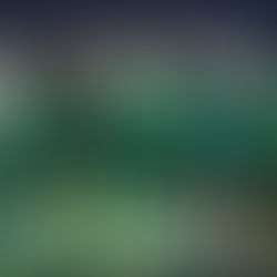 Super Eagles du Nigeria