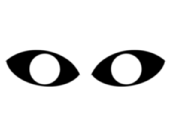 Sentry Private Investigators