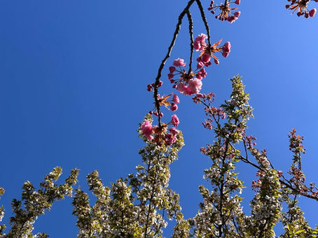 Penn Financial Comment on FCA Review of the Second Charge Mortgage Market