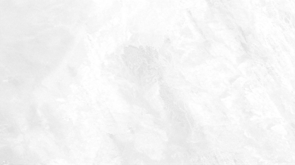 White Background_edited_edited.jpg