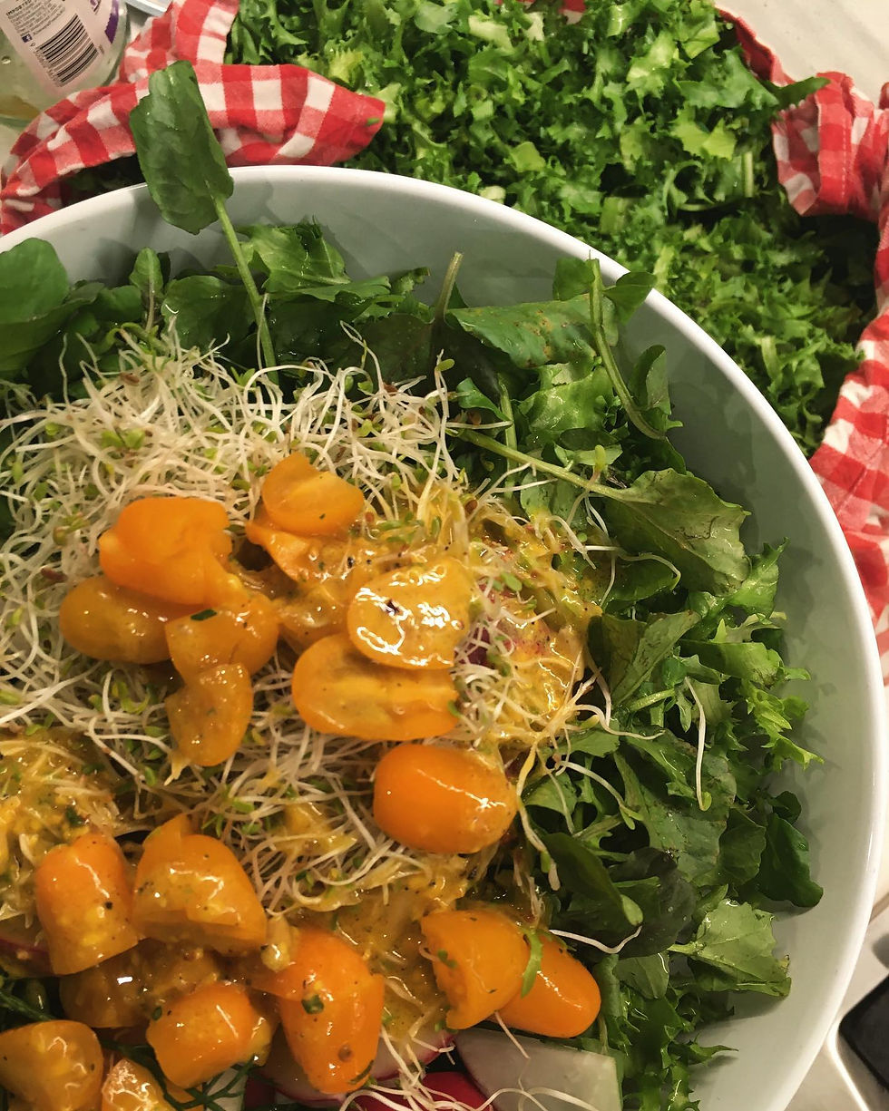 BITTERS AS MEDICINAL FOODS