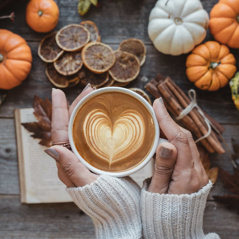 SEASON UPDATE: AUTUMN