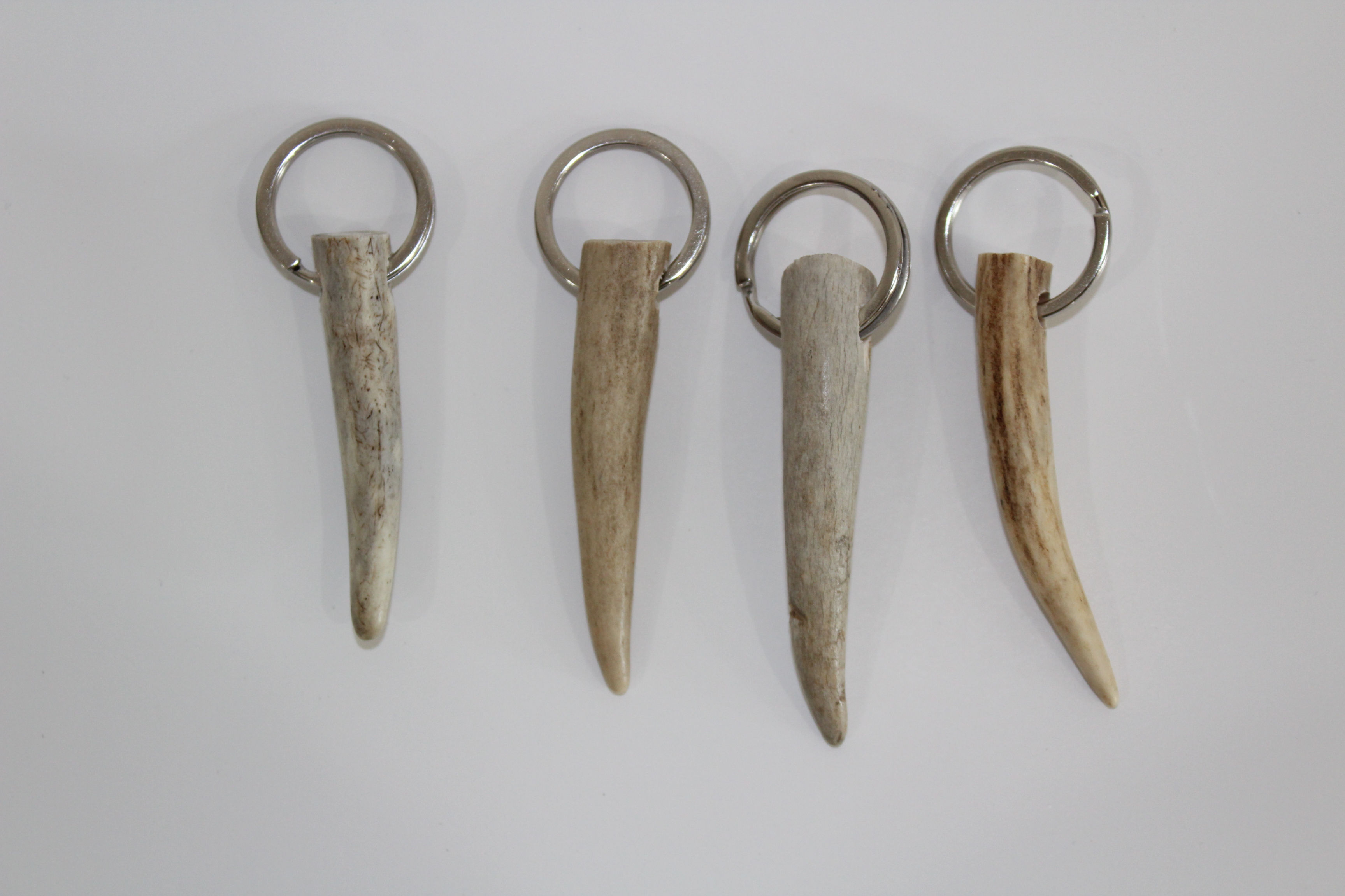 Antler Tip Key Chain